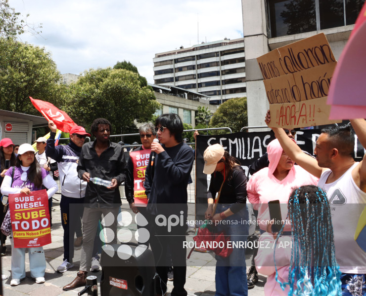 PROTESTA CONTRA NOBOA ARBOLITO