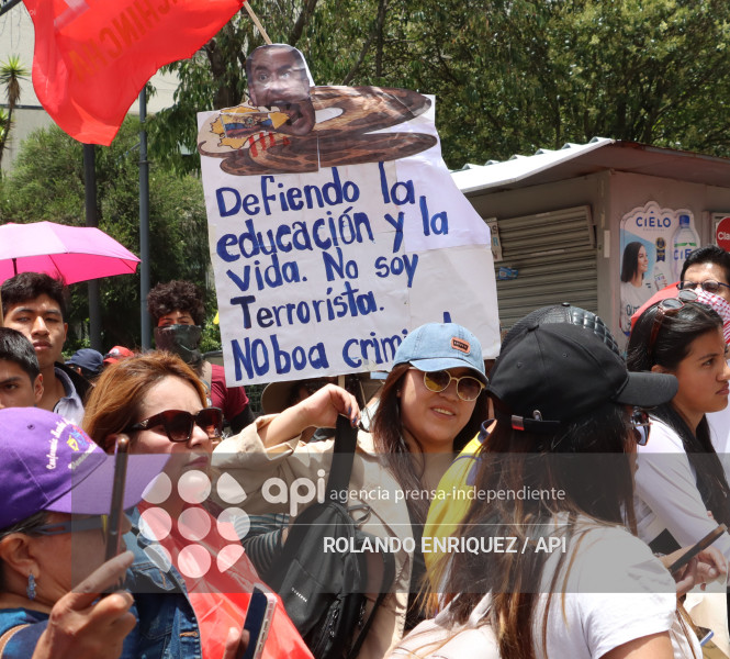 PROTESTA CONTRA NOBOA ARBOLITO