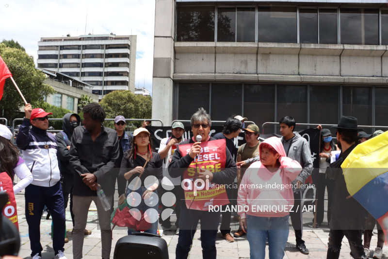 PROTESTA CONTRA NOBOA ARBOLITO