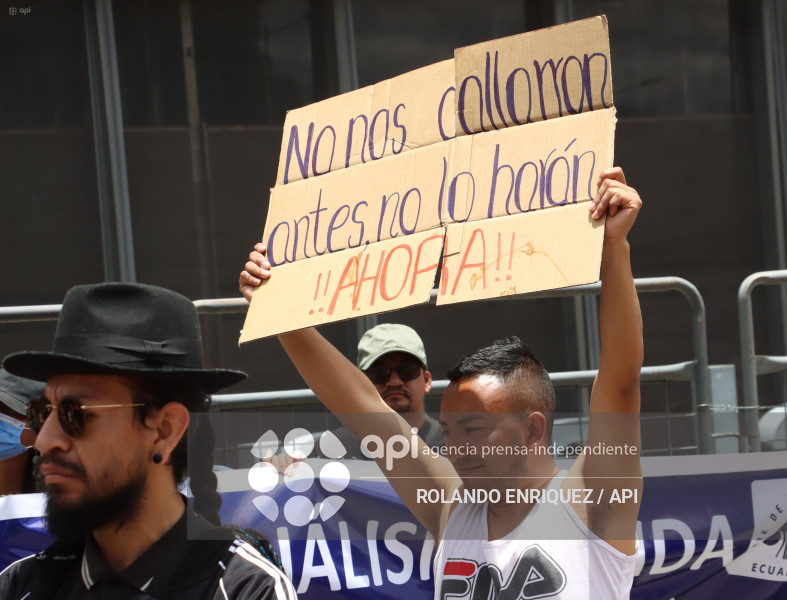 PROTESTA CONTRA NOBOA ARBOLITO