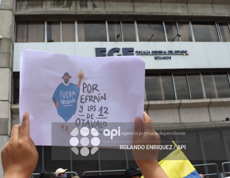 PROTESTA CONTRA NOBOA ARBOLITO