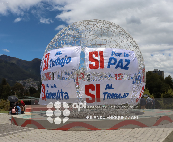 SIMPATIZANTES NOBOA ARBOLITO