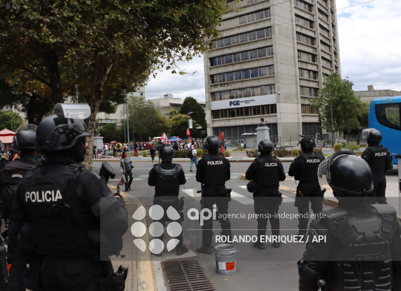 PROTESTA CONTRA NOBOA ARBOLITO