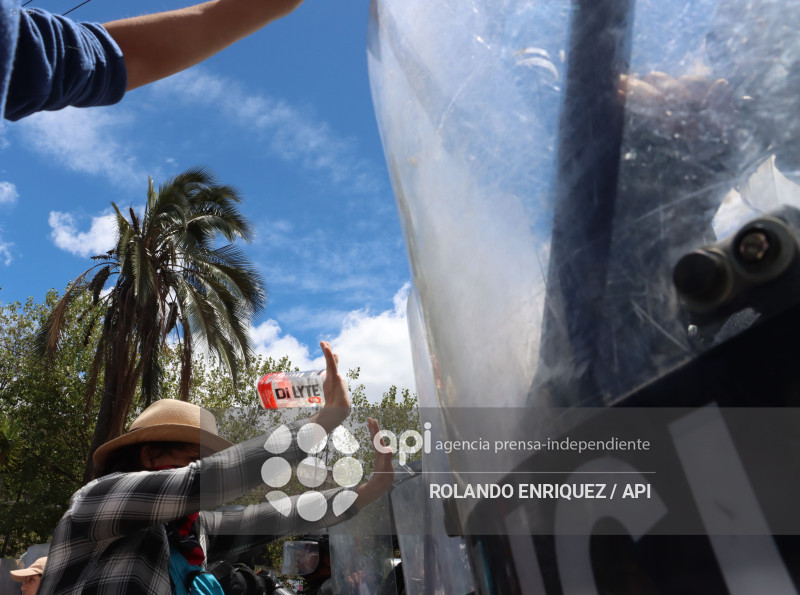 PROTESTA CONTRA NOBOA ARBOLITO