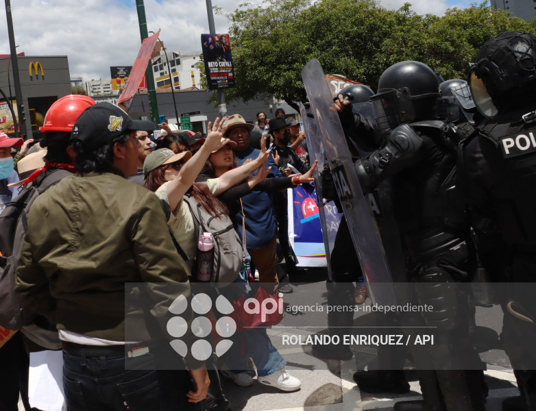 PROTESTA CONTRA NOBOA ARBOLITO