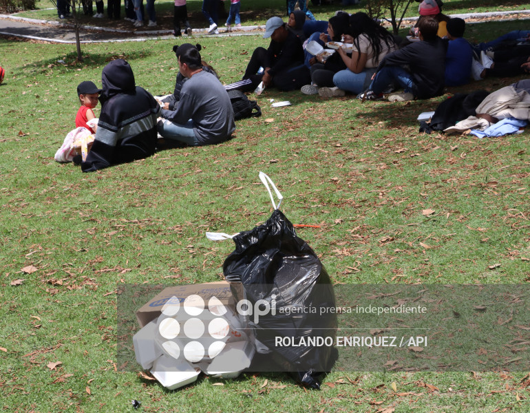 SIMPATIZANTES NOBOA ARBOLITO