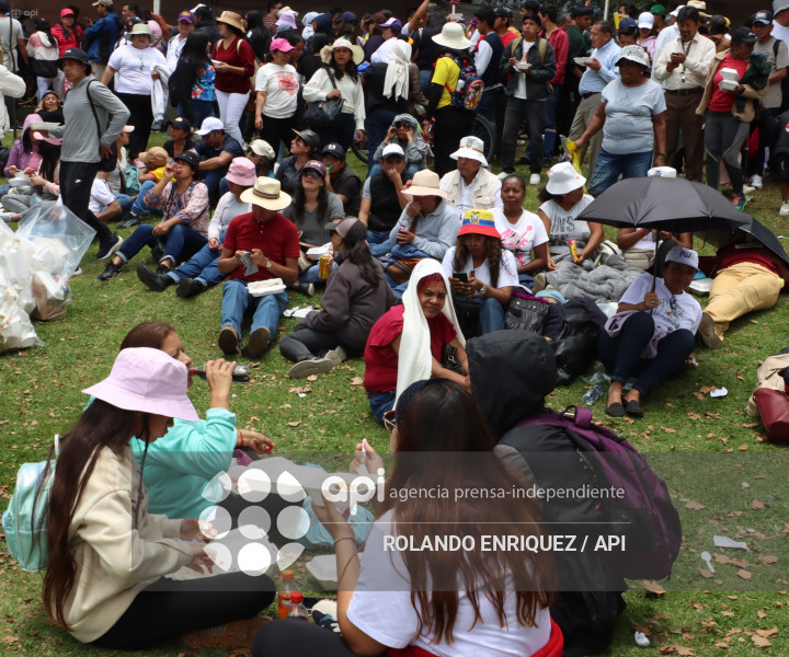 SIMPATIZANTES NOBOA ARBOLITO