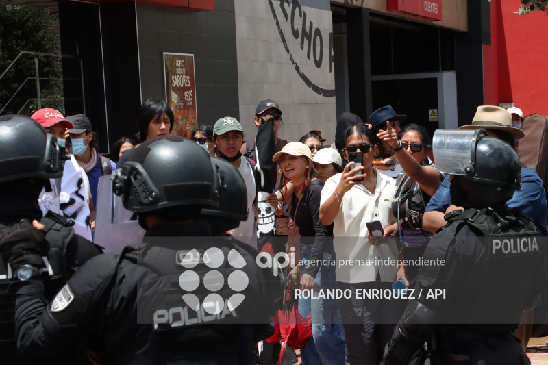 PROTESTA CONTRA NOBOA ARBOLITO