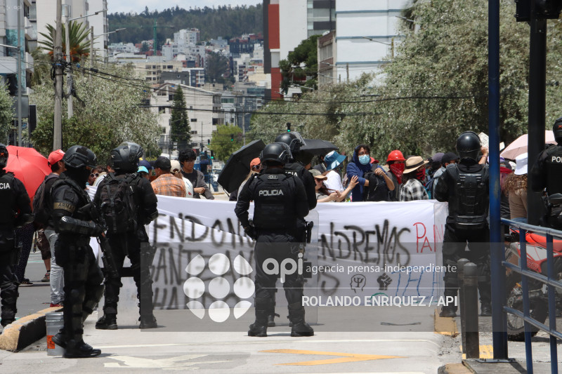 PROTESTA CONTRA NOBOA ARBOLITO