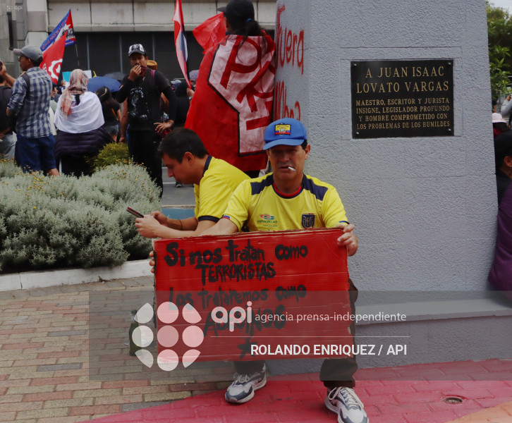 PROTESTA CONTRA NOBOA ARBOLITO