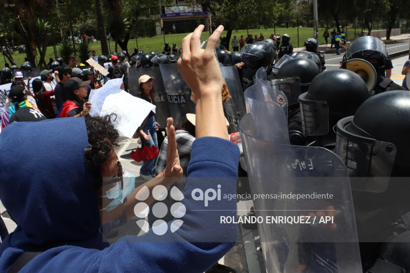 PROTESTA CONTRA NOBOA ARBOLITO