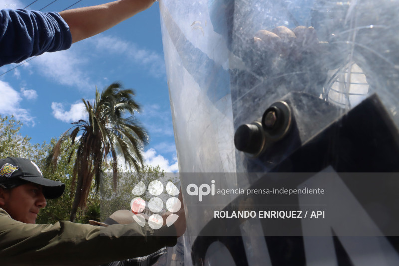 PROTESTA CONTRA NOBOA ARBOLITO