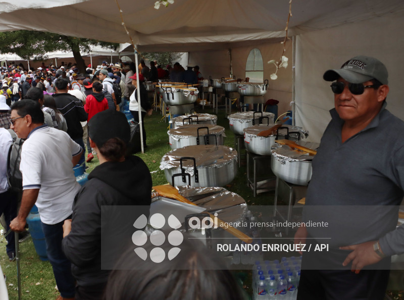 SIMPATIZANTES NOBOA ARBOLITO