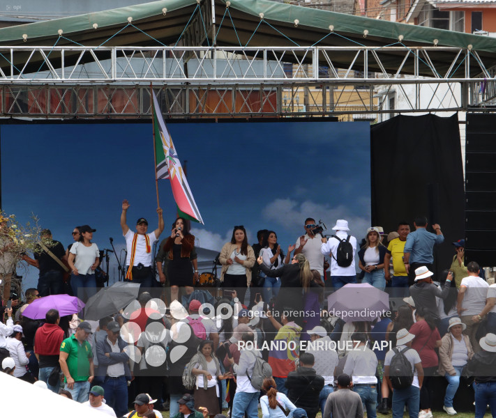 PROTESTA CONTRA NOBOA ARBOLITO