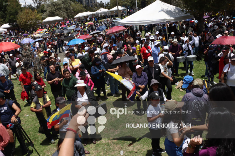 SIMPATIZANTES NOBOA ARBOLITO