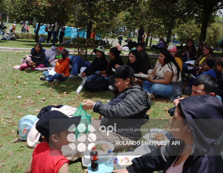 SIMPATIZANTES NOBOA ARBOLITO