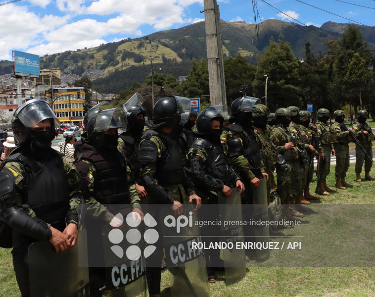 SIMPATIZANTES NOBOA ARBOLITO