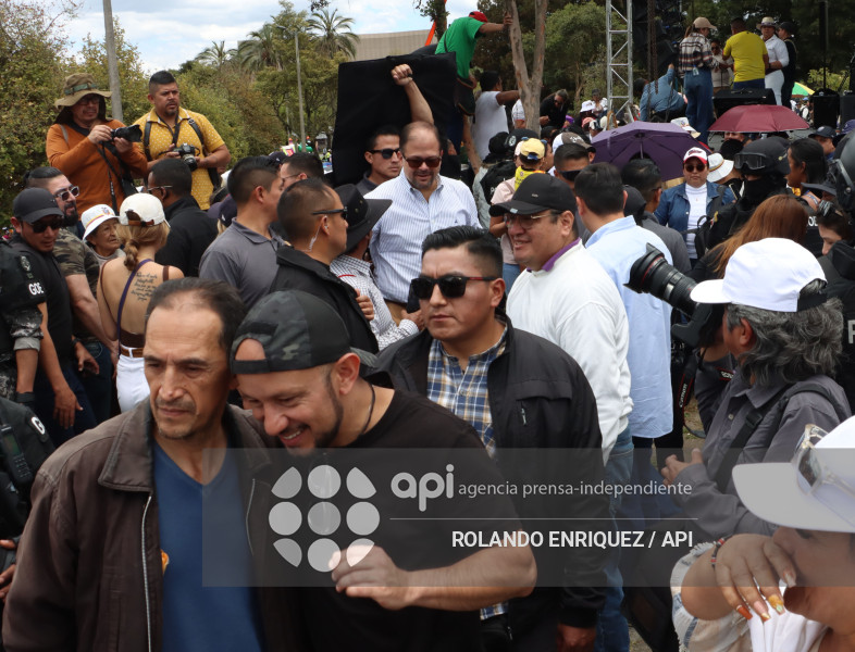 SIMPATIZANTES NOBOA ARBOLITO