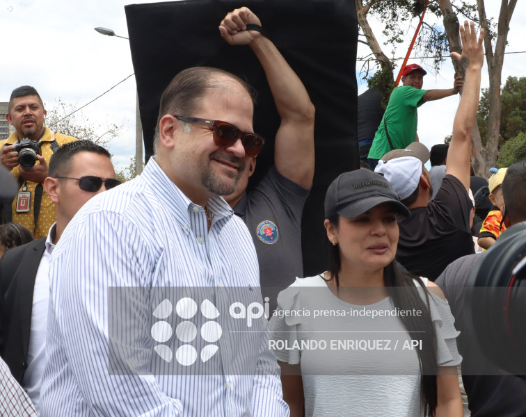 SIMPATIZANTES NOBOA ARBOLITO