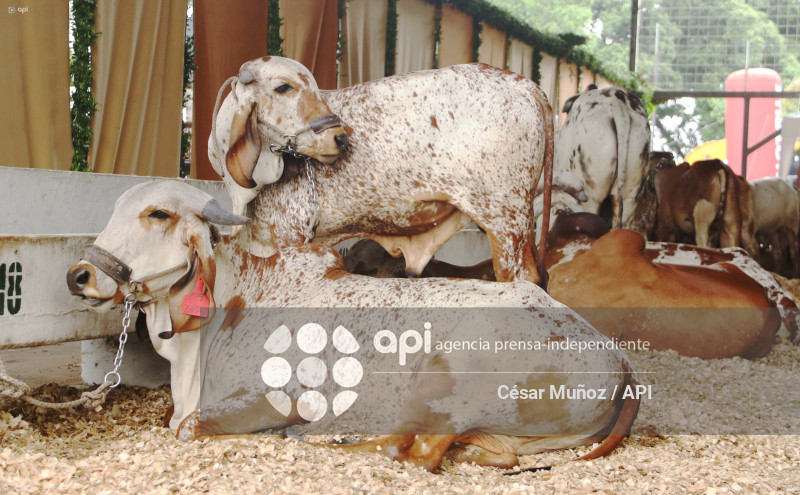 GYE-ANUNCIO FERIA GANADERA