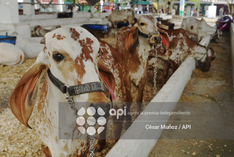 GYE-ANUNCIO FERIA GANADERA