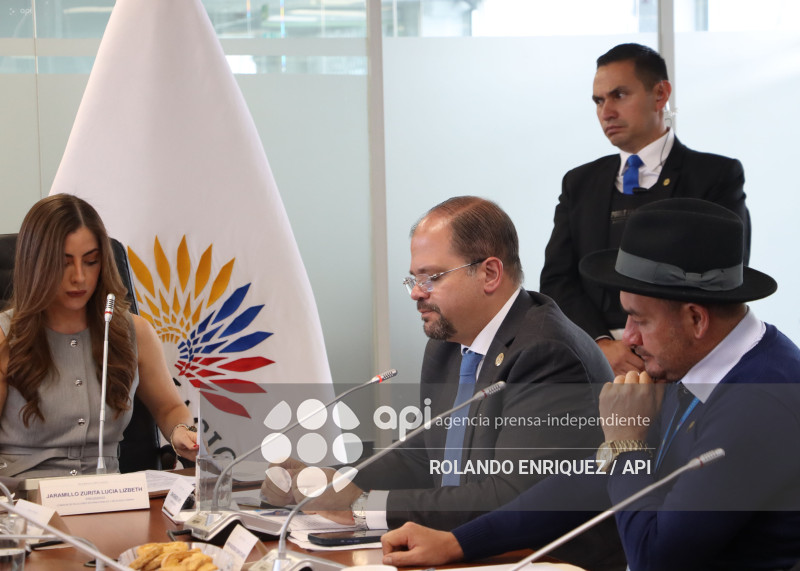 REINBERG COMISION ASUNTOS INTERNACIONALES