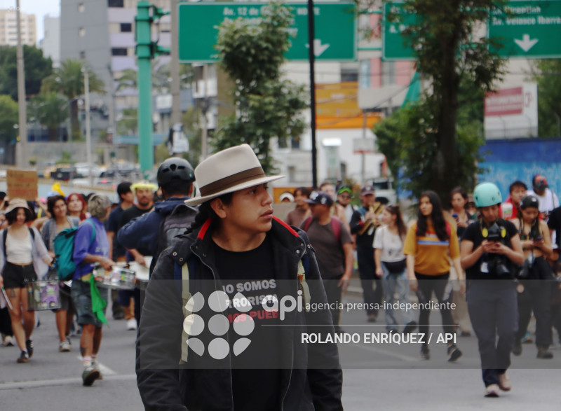 GRUPOS SOCIALES CORTE CONSTITUCIONAL