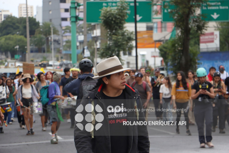 GRUPOS SOCIALES CORTE CONSTITUCIONAL