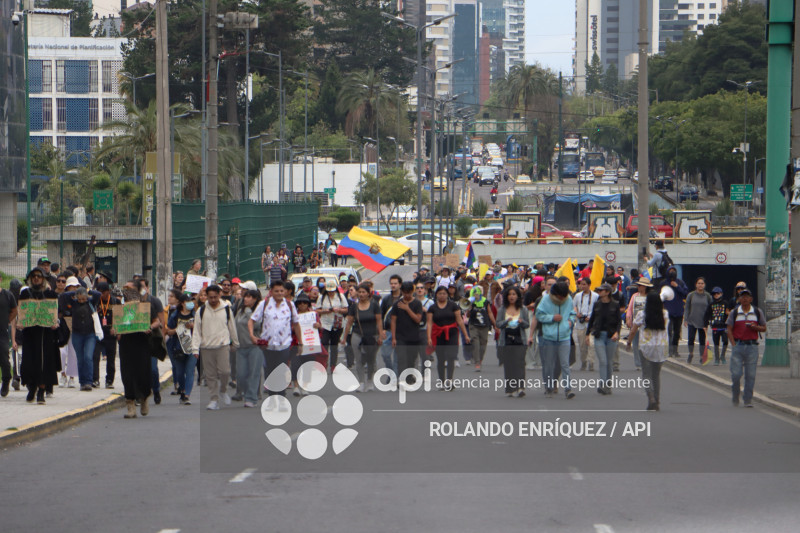 GRUPOS SOCIALES CORTE CONSTITUCIONAL