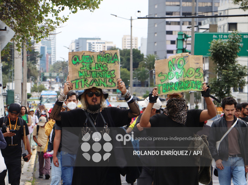 GRUPOS SOCIALES CORTE CONSTITUCIONAL