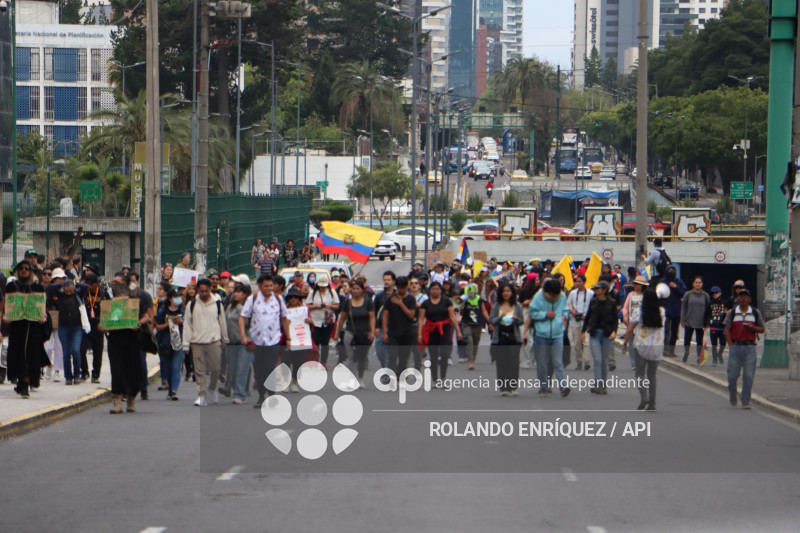 GRUPOS SOCIALES CORTE CONSTITUCIONAL