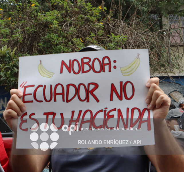 GRUPOS SOCIALES CORTE CONSTITUCIONAL