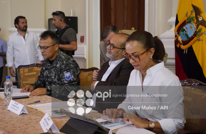 GYE-CONSEJO SEGURIDAD