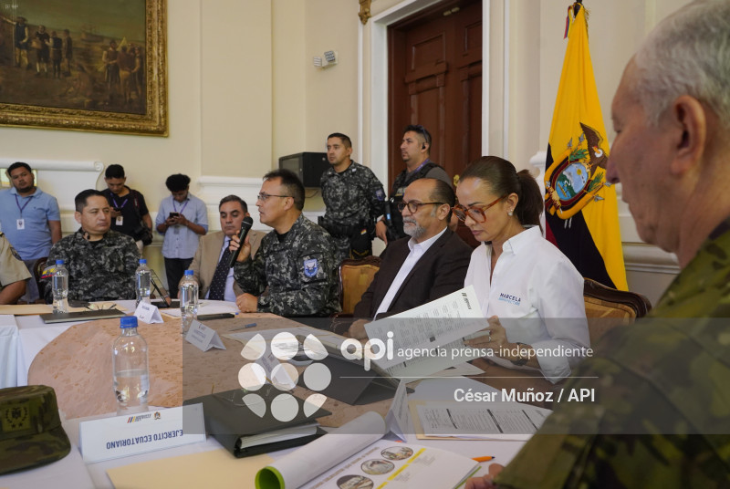 GYE-CONSEJO SEGURIDAD