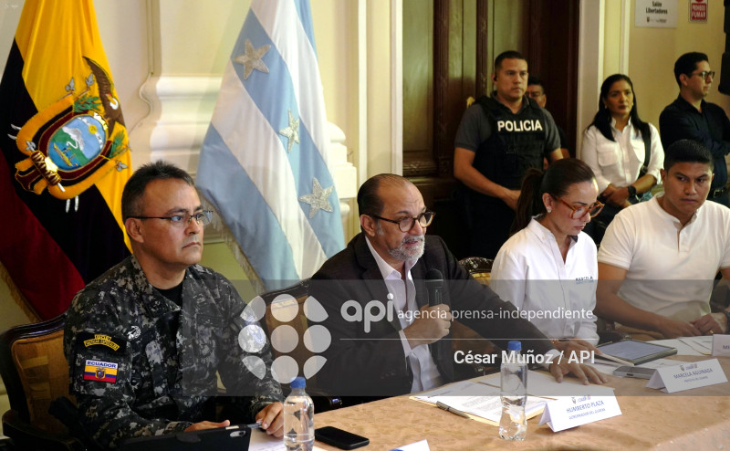 GYE-CONSEJO SEGURIDAD