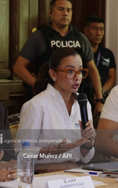 GYE-CONSEJO SEGURIDAD