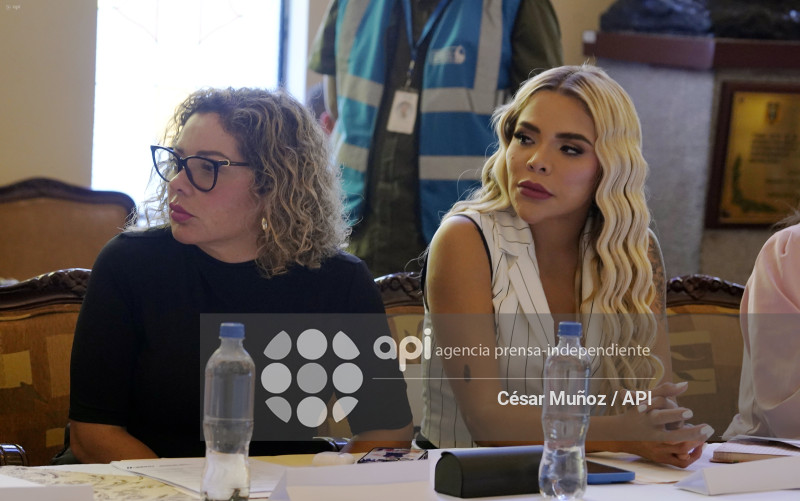 GYE-CONSEJO SEGURIDAD