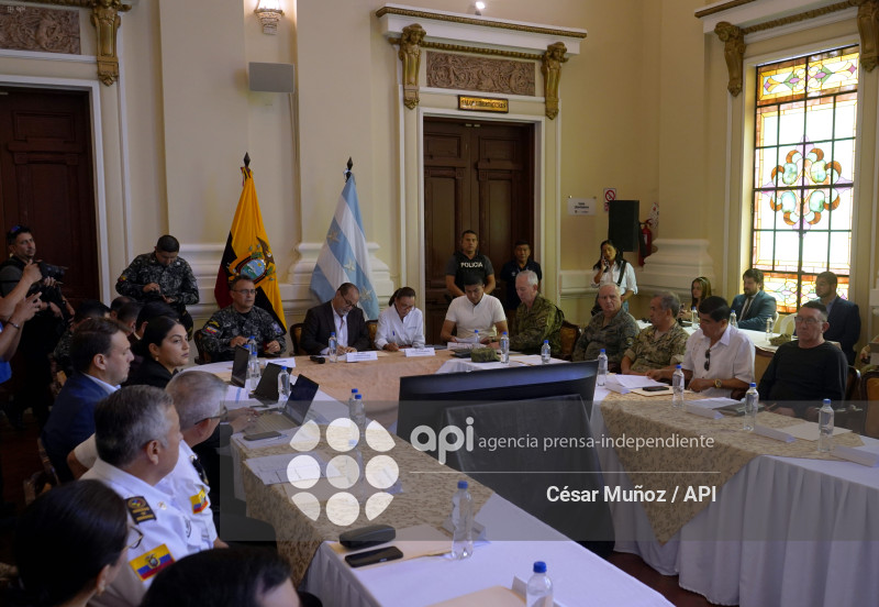 GYE-CONSEJO SEGURIDAD