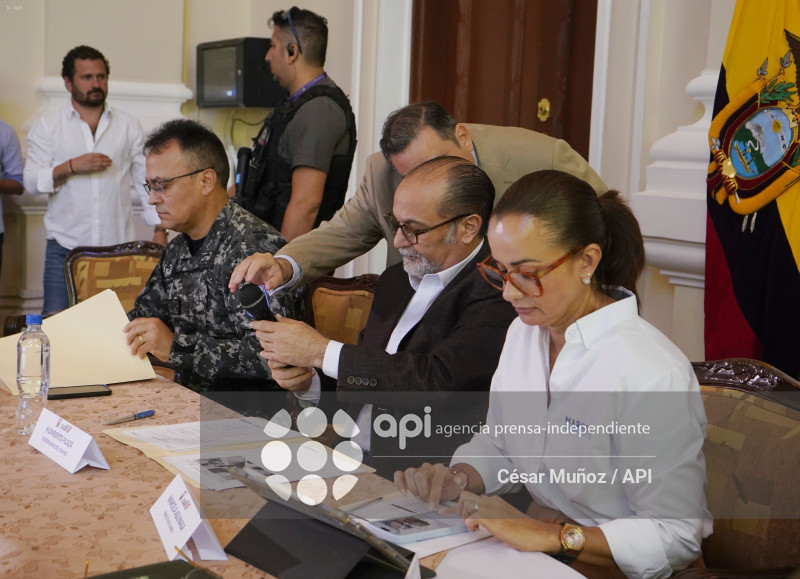 GYE-CONSEJO SEGURIDAD