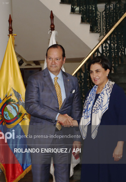 CONSULTAS POLITICAS ECUADOR Y PANAMA