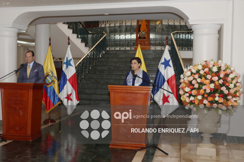 CONSULTAS POLITICAS ECUADOR Y PANAMA