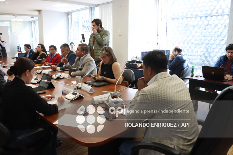 COMISION GARANTIAS CONSTITUCIONALES