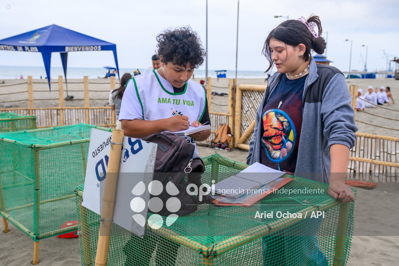 MANTA-TORTUGAS-MARINAS