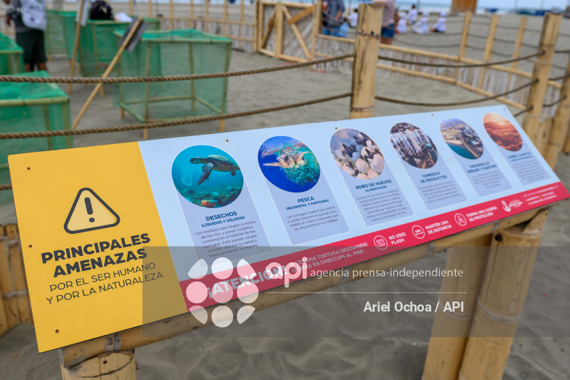 MANTA-TORTUGAS-MARINAS