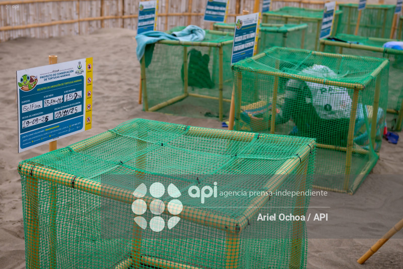 MANTA-TORTUGAS-MARINAS