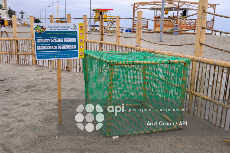 MANTA-TORTUGAS-MARINAS