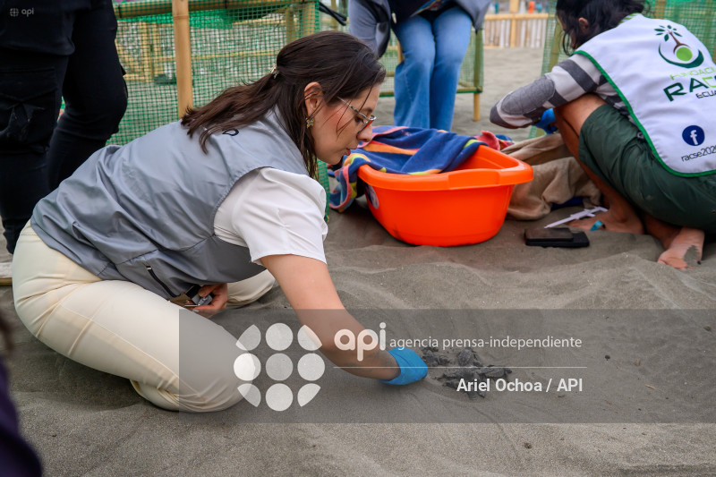 MANTA-TORTUGAS-MARINAS