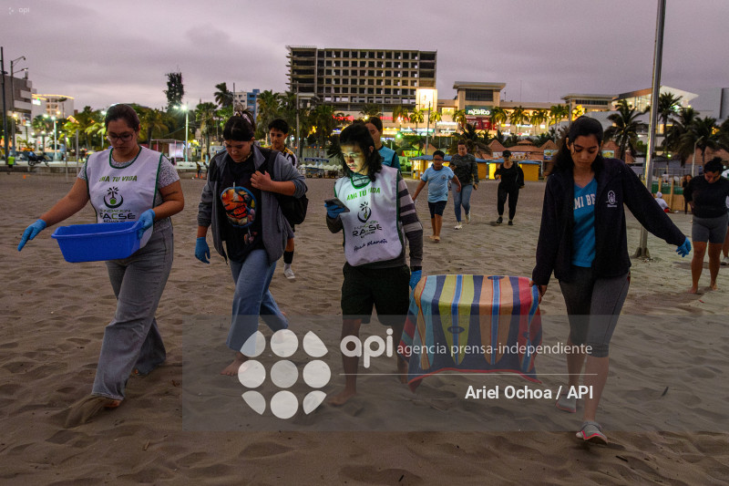 MANTA-TORTUGAS-MARINAS