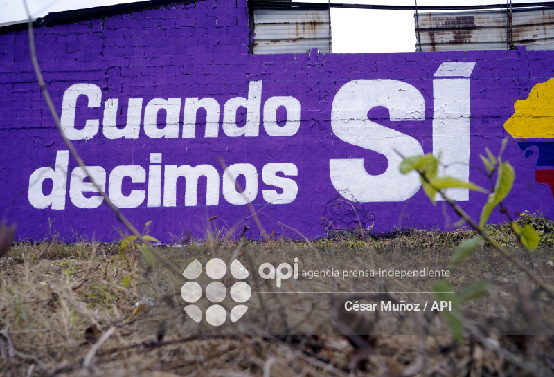 GYE-CAMPAÑA CONSULTA