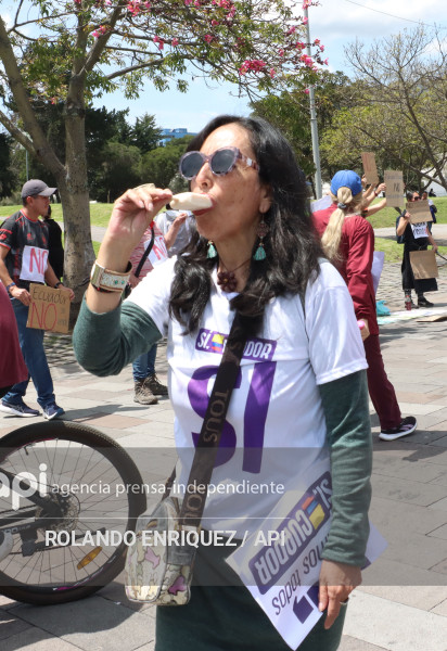 INICIO CAMPANA SI Y NO